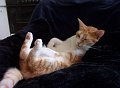 So kann man relaxen
